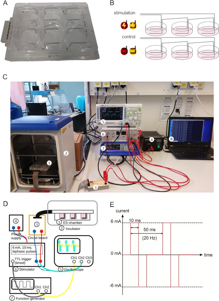 https://cdn.ncbi.nlm.nih.gov/pmc/blobs/2f4b/10668359/5335724ebcfa/13036_2023_393_Fig1_HTML.jpg
