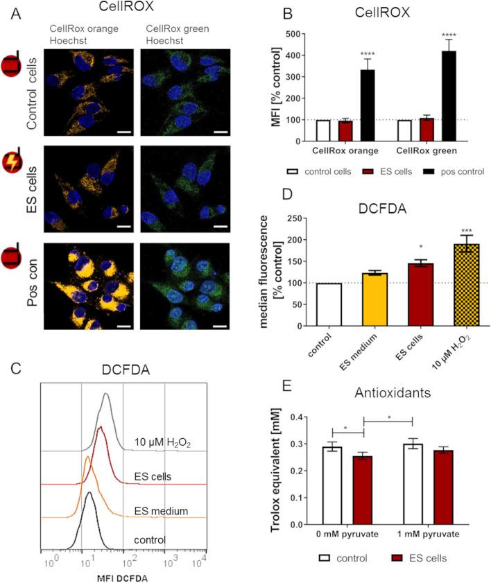https://cdn.ncbi.nlm.nih.gov/pmc/blobs/2f4b/10668359/94620e4cd131/13036_2023_393_Fig6_HTML.jpg
