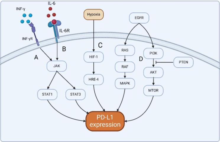 https://cdn.ncbi.nlm.nih.gov/pmc/blobs/2f4b/11437992/6769fc014d0a/13578_2024_1305_Fig1_HTML.jpg