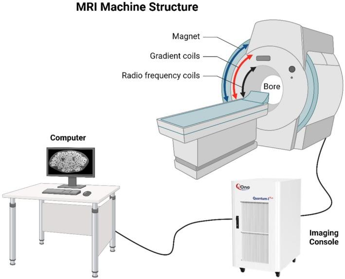https://cdn.ncbi.nlm.nih.gov/pmc/blobs/2f4b/12277555/cb811bfb43e7/FSN3-13-e70643-g006.jpg