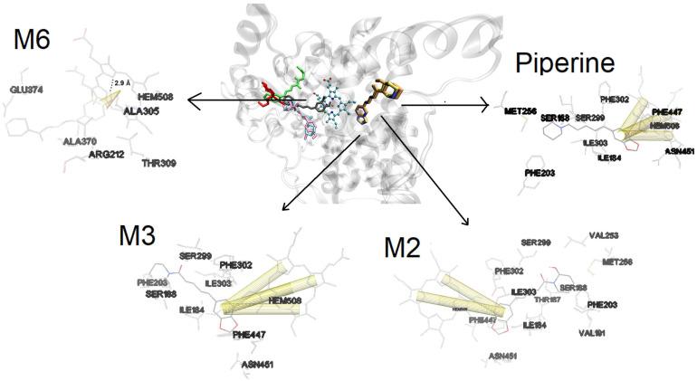 https://cdn.ncbi.nlm.nih.gov/pmc/blobs/2f4c/11123718/7b0be350e95b/molecules-29-02406-g006.jpg
