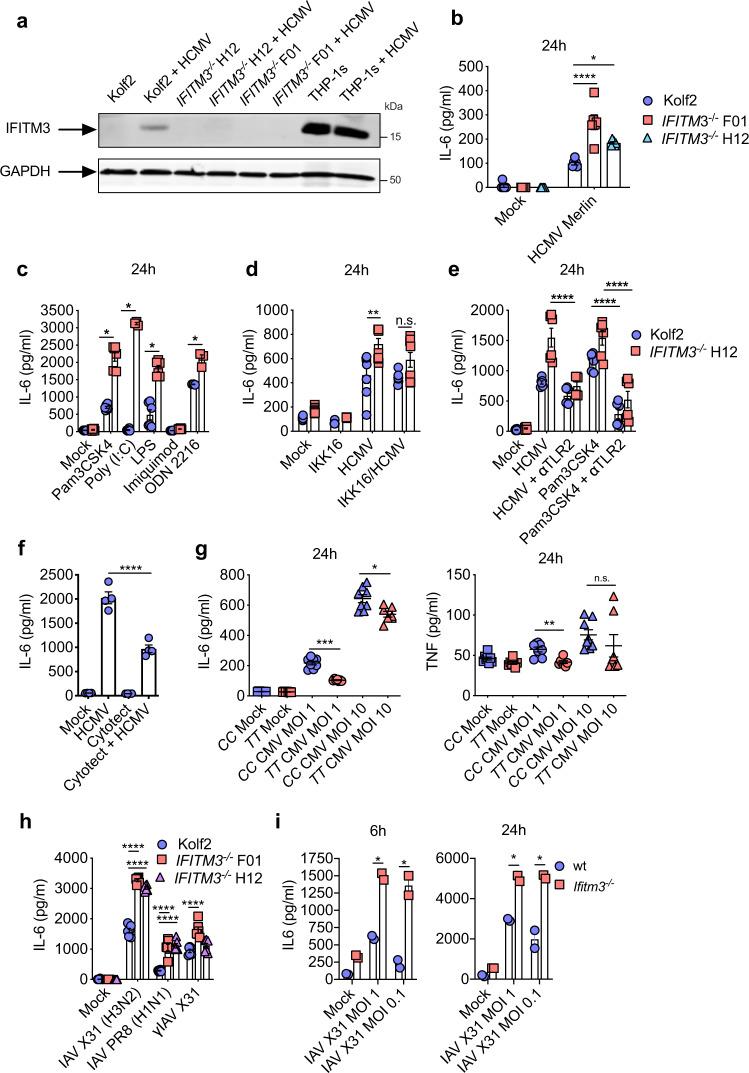 https://cdn.ncbi.nlm.nih.gov/pmc/blobs/2f4c/9458641/44056ed71c13/41467_2022_32587_Fig2_HTML.jpg