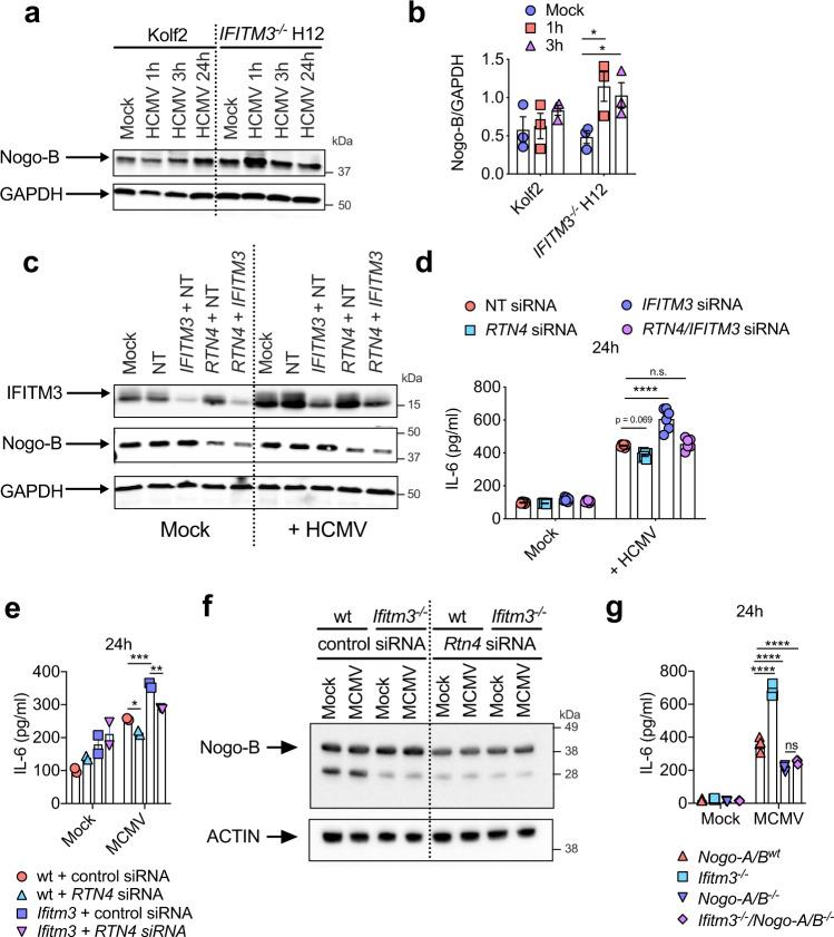 https://cdn.ncbi.nlm.nih.gov/pmc/blobs/2f4c/9458641/4d932a259644/41467_2022_32587_Fig4_HTML.jpg