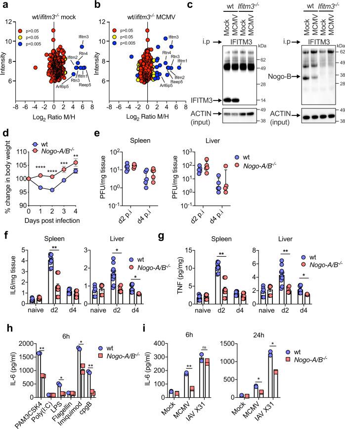 https://cdn.ncbi.nlm.nih.gov/pmc/blobs/2f4c/9458641/aec447e11eac/41467_2022_32587_Fig3_HTML.jpg