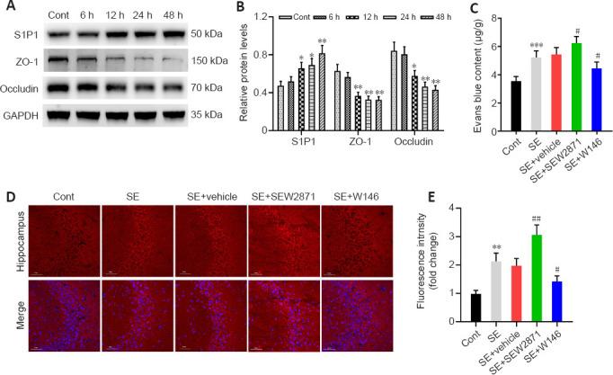 https://cdn.ncbi.nlm.nih.gov/pmc/blobs/2f4d/10154506/0a0774f6aa51/NRR-18-1763-g002.jpg