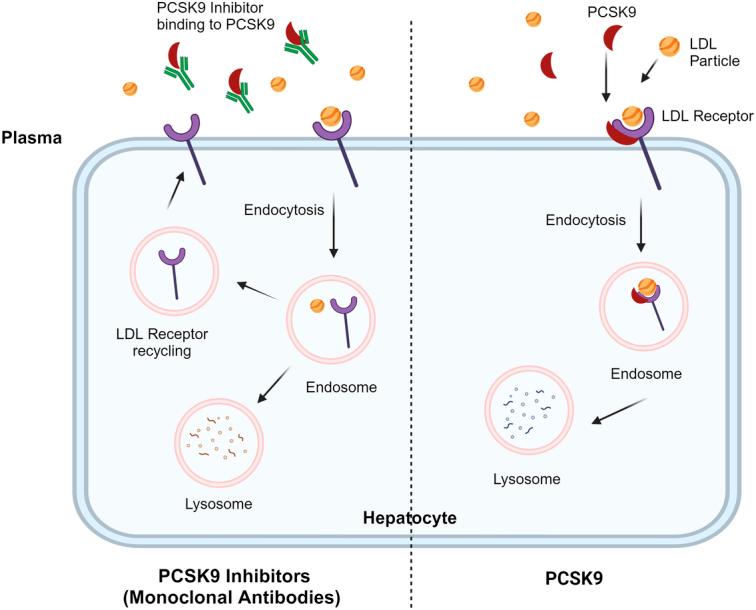 https://cdn.ncbi.nlm.nih.gov/pmc/blobs/2f4f/11060207/922b2c762bf8/ms9-86-2818-g002.jpg