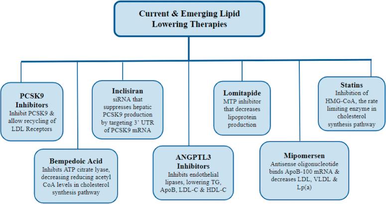 https://cdn.ncbi.nlm.nih.gov/pmc/blobs/2f4f/11060207/f85d39c5cac3/ms9-86-2818-g001.jpg