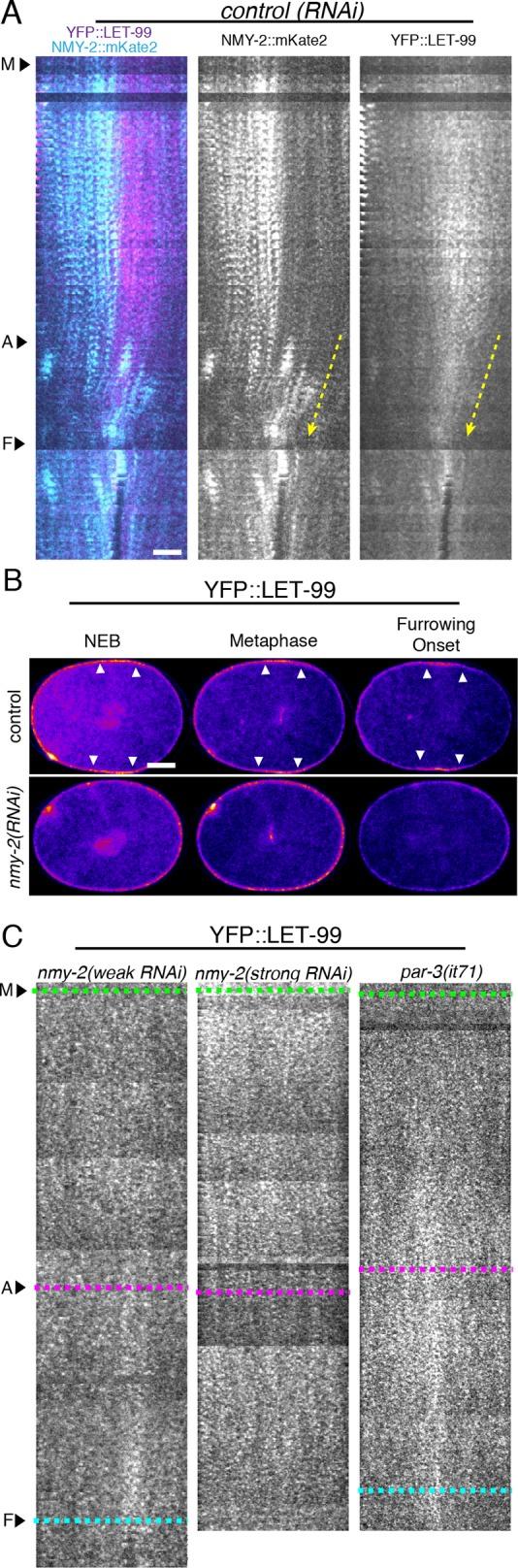 https://cdn.ncbi.nlm.nih.gov/pmc/blobs/2f50/5576900/9524f787c75b/2360fig5.jpg