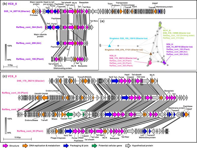 https://cdn.ncbi.nlm.nih.gov/pmc/blobs/2f50/8290583/7d94c2bd0b9e/40168_2021_1106_Fig5_HTML.jpg