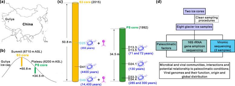 https://cdn.ncbi.nlm.nih.gov/pmc/blobs/2f50/8290583/b418a6489e93/40168_2021_1106_Fig2_HTML.jpg