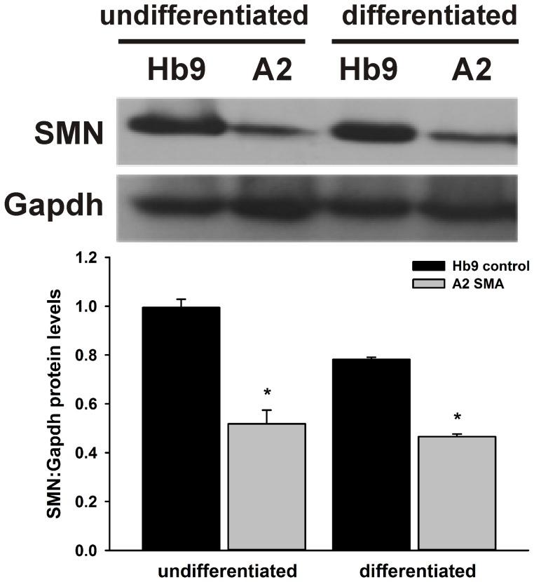 https://cdn.ncbi.nlm.nih.gov/pmc/blobs/2f52/4156416/13ed4cfd5a4f/pone.0106818.g002.jpg