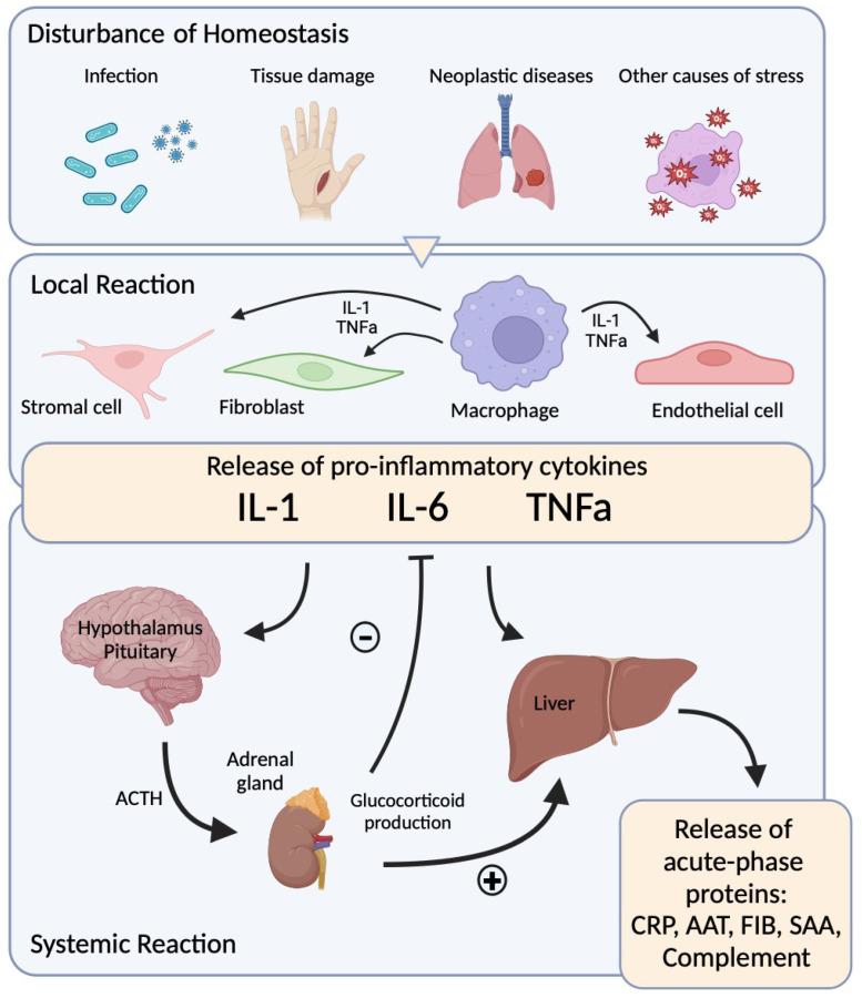 https://cdn.ncbi.nlm.nih.gov/pmc/blobs/2f53/11764001/e4a5260534c9/diagnostics-15-00145-g001.jpg