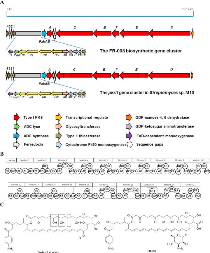 https://cdn.ncbi.nlm.nih.gov/pmc/blobs/2f55/5640592/16b6bee46324/synbio15-fig-0002.jpg