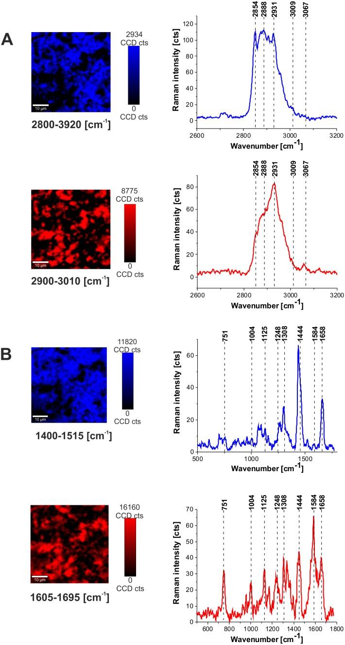 https://cdn.ncbi.nlm.nih.gov/pmc/blobs/2f55/5689610/fe260bba3eef/oncotarget-08-85290-g003.jpg
