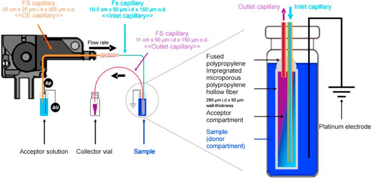 https://cdn.ncbi.nlm.nih.gov/pmc/blobs/2f56/5790682/8bcc876620b9/gr4.jpg
