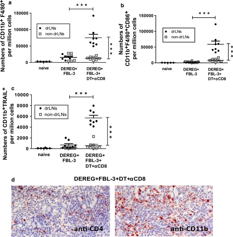 https://cdn.ncbi.nlm.nih.gov/pmc/blobs/2f57/11028900/2315b8be94de/262_2012_1329_Fig7_HTML.jpg