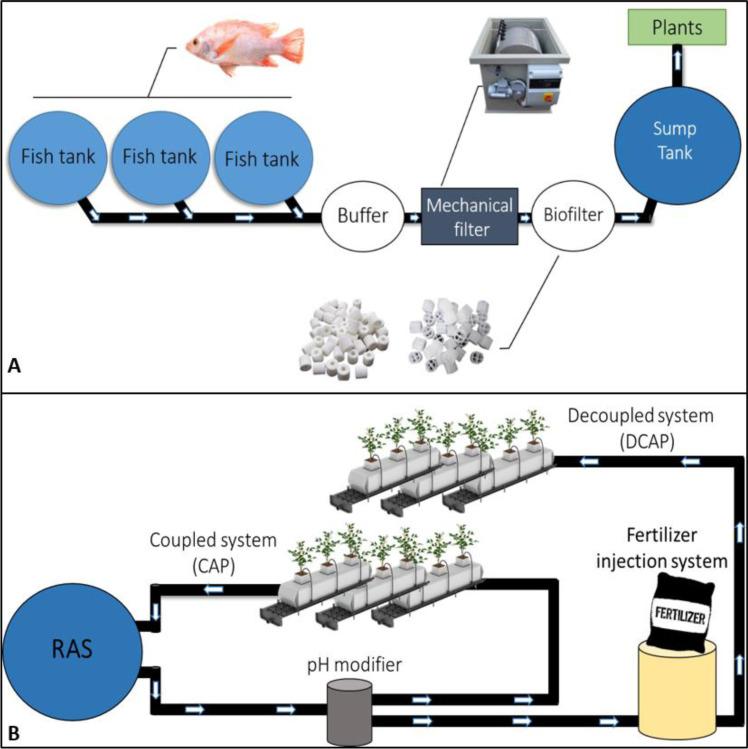 https://cdn.ncbi.nlm.nih.gov/pmc/blobs/2f5a/10361078/b26529733e6e/peerj-11-15664-g002.jpg