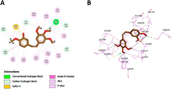https://cdn.ncbi.nlm.nih.gov/pmc/blobs/2f5a/12260535/9545c1f5edf3/fchem-13-1606848-g007.jpg