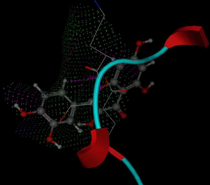 https://cdn.ncbi.nlm.nih.gov/pmc/blobs/2f5a/8317526/65c9831b4374/jcav12p5249g009.jpg