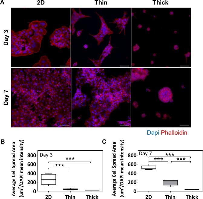 https://cdn.ncbi.nlm.nih.gov/pmc/blobs/2f5b/6016924/8a631639cbf8/pone.0199632.g006.jpg