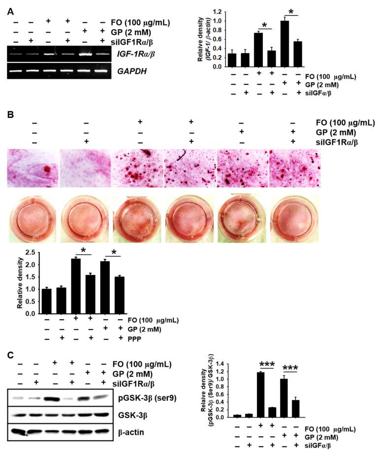 https://cdn.ncbi.nlm.nih.gov/pmc/blobs/2f5c/7551862/bbbf42e2eaab/marinedrugs-18-00472-g006.jpg