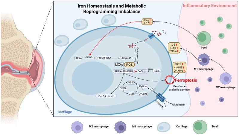 https://cdn.ncbi.nlm.nih.gov/pmc/blobs/2f5e/12178902/1d928d292081/fimmu-16-1604652-g002.jpg