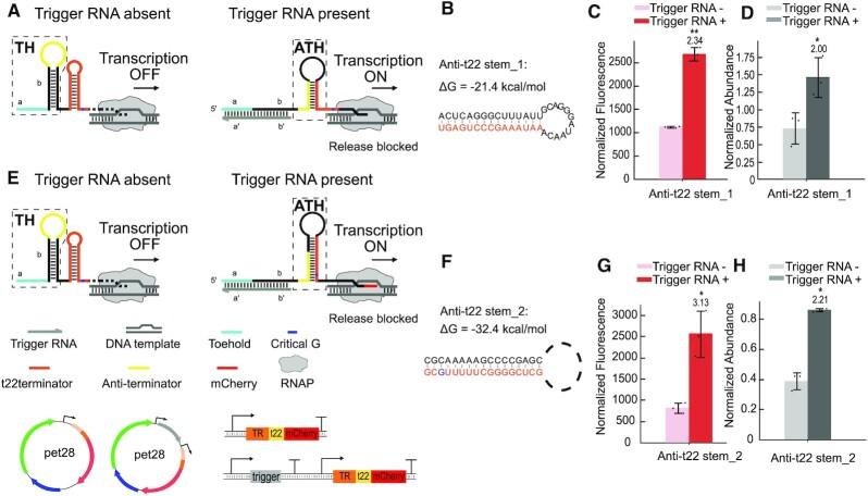 https://cdn.ncbi.nlm.nih.gov/pmc/blobs/2f5f/9071393/71a1e9345525/gkac275fig3.jpg