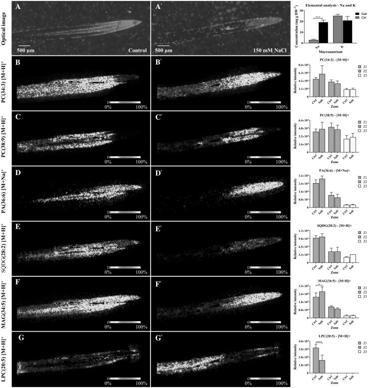 https://cdn.ncbi.nlm.nih.gov/pmc/blobs/2f60/5907631/07f6bea2ef5d/11306_2018_1359_Fig2_HTML.jpg