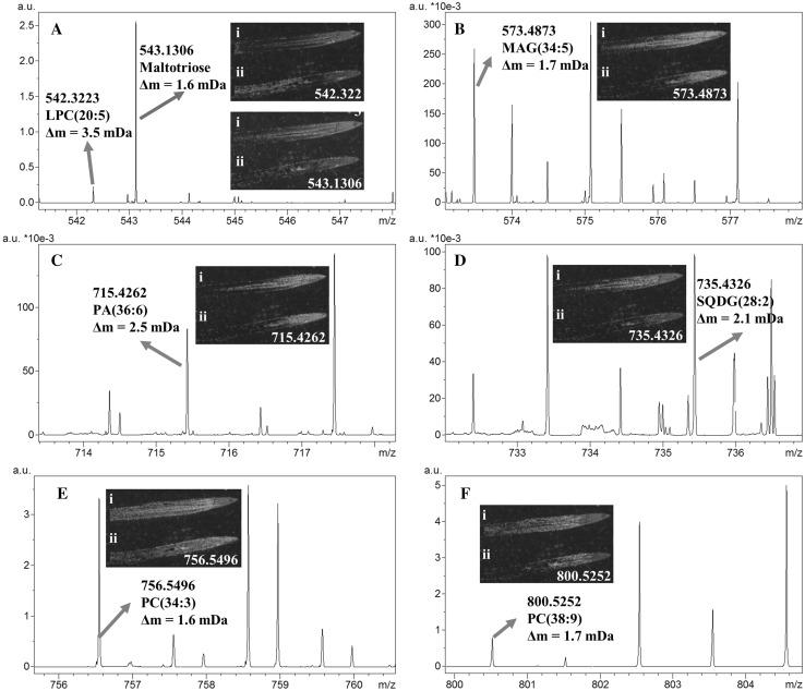 https://cdn.ncbi.nlm.nih.gov/pmc/blobs/2f60/5907631/0d260b6fabc7/11306_2018_1359_Fig1_HTML.jpg