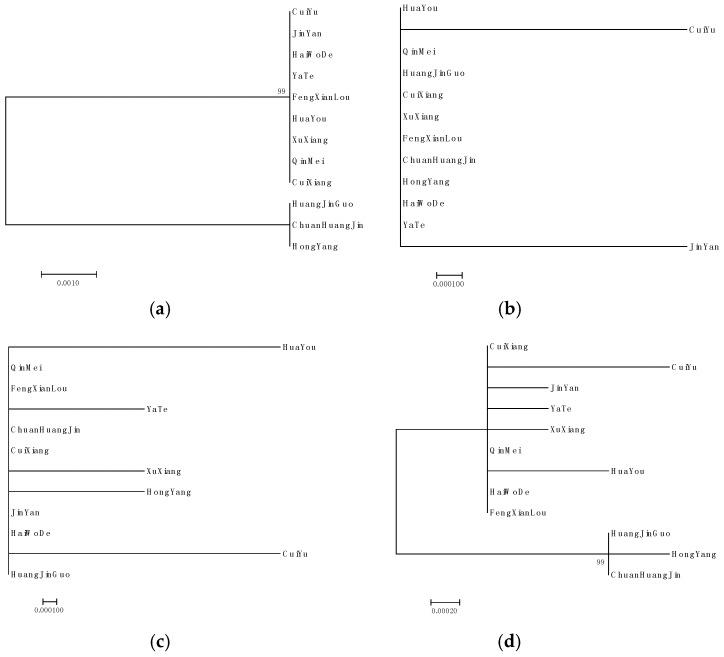 https://cdn.ncbi.nlm.nih.gov/pmc/blobs/2f60/6429161/c0651ab8e701/molecules-24-00888-g003.jpg
