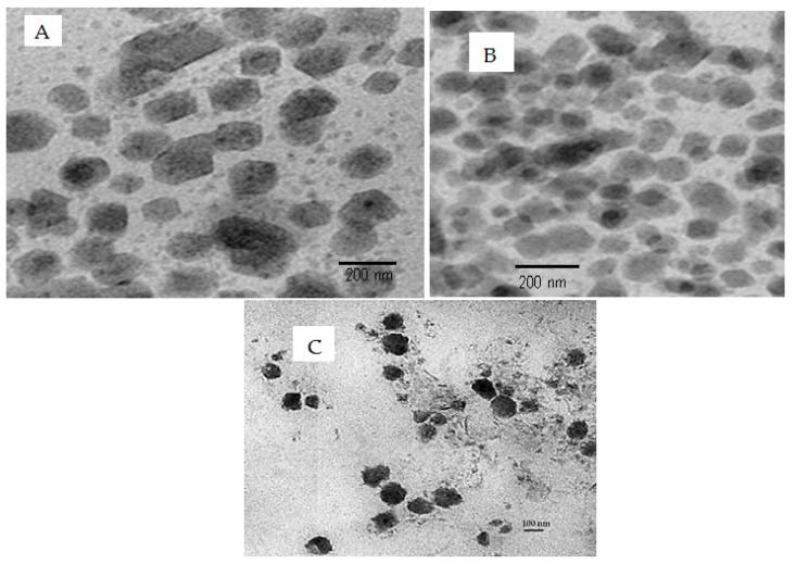 https://cdn.ncbi.nlm.nih.gov/pmc/blobs/2f61/9960579/3b480896bc25/pharmaceutics-15-00680-g004.jpg