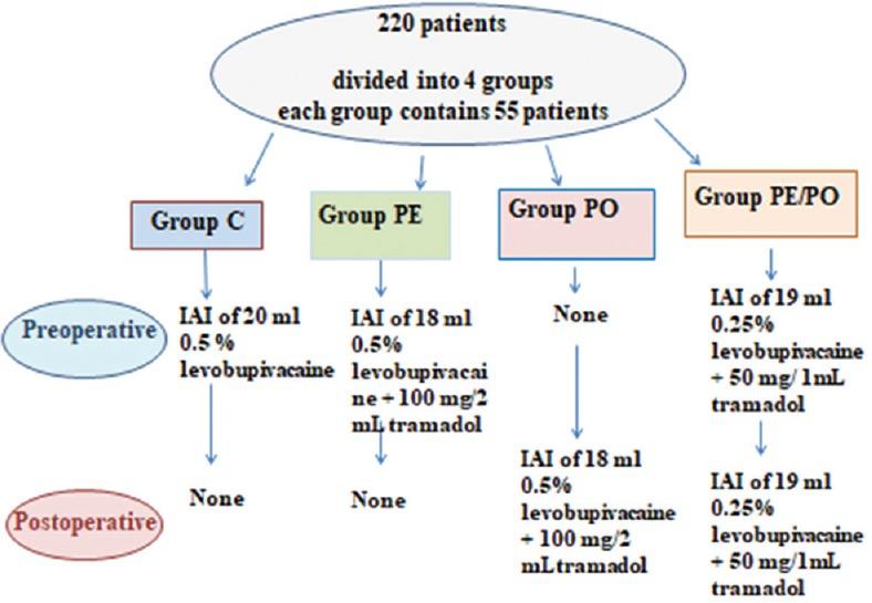 https://cdn.ncbi.nlm.nih.gov/pmc/blobs/2f62/6444950/abbea6cd8862/AER-13-84-g001.jpg
