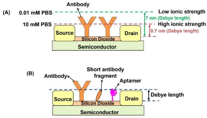 https://cdn.ncbi.nlm.nih.gov/pmc/blobs/2f62/8615996/9eec1eed7909/biosensors-11-00434-g009.jpg