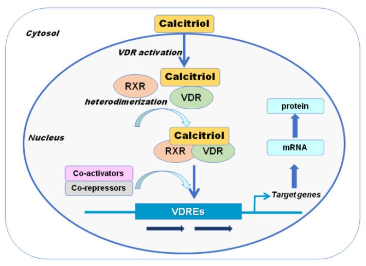 https://cdn.ncbi.nlm.nih.gov/pmc/blobs/2f63/8074587/45a4be5e5821/metabolites-11-00255-g002.jpg