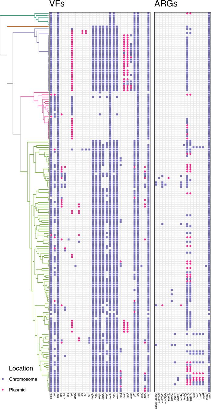 https://cdn.ncbi.nlm.nih.gov/pmc/blobs/2f64/7660258/476877da096b/mgen-6-441-g006.jpg