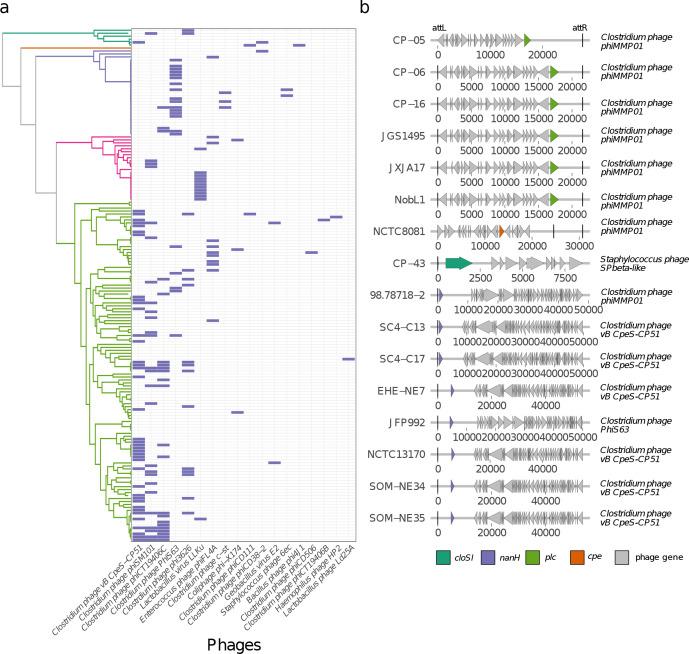 https://cdn.ncbi.nlm.nih.gov/pmc/blobs/2f64/7660258/e392b7453ff5/mgen-6-441-g003.jpg