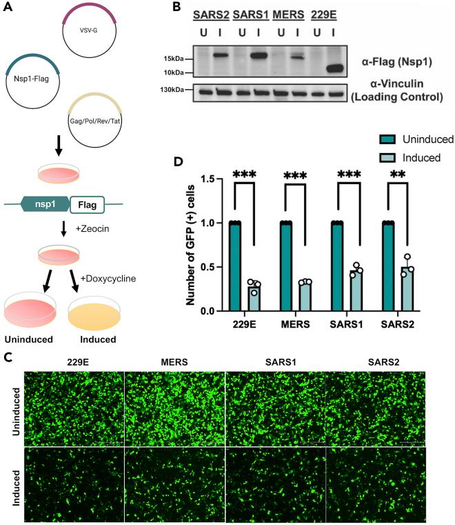 https://cdn.ncbi.nlm.nih.gov/pmc/blobs/2f64/9843258/65aed9cf2098/gr1.jpg