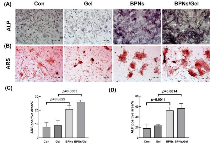 https://cdn.ncbi.nlm.nih.gov/pmc/blobs/2f66/11297757/84c9bad3e066/12903_2024_4649_Fig6_HTML.jpg