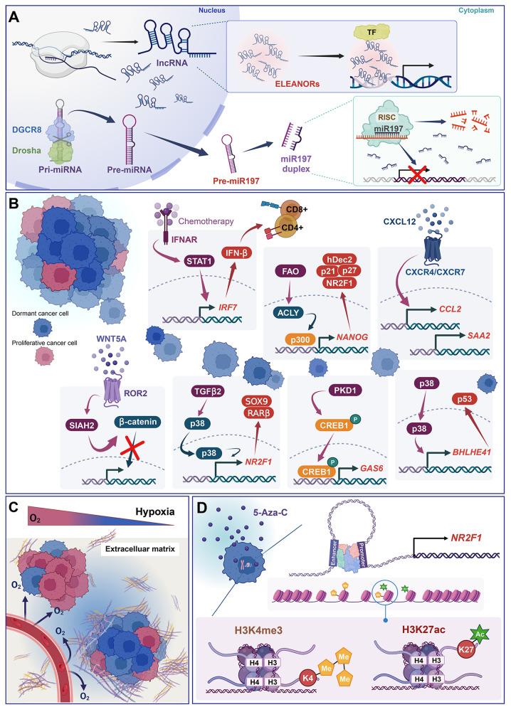https://cdn.ncbi.nlm.nih.gov/pmc/blobs/2f66/11829473/025235737741/12943_2025_2250_Fig3_HTML.jpg