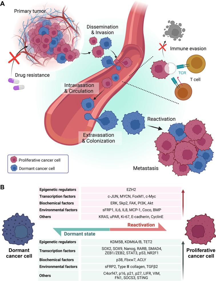 https://cdn.ncbi.nlm.nih.gov/pmc/blobs/2f66/11829473/7a2d37904e7d/12943_2025_2250_Fig1_HTML.jpg