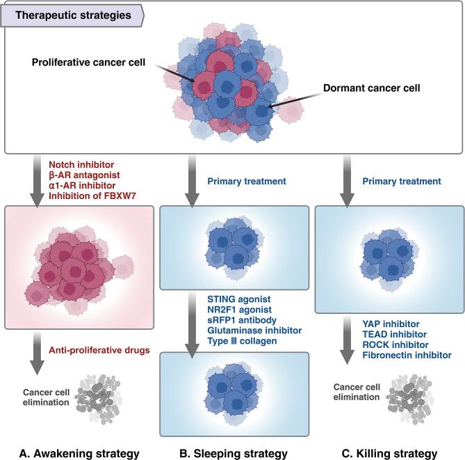 https://cdn.ncbi.nlm.nih.gov/pmc/blobs/2f66/11829473/b49fa67b522b/12943_2025_2250_Fig2_HTML.jpg