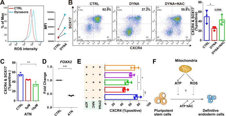 https://cdn.ncbi.nlm.nih.gov/pmc/blobs/2f66/8854419/da675e88a1da/41420_2022_867_Fig5_HTML.jpg