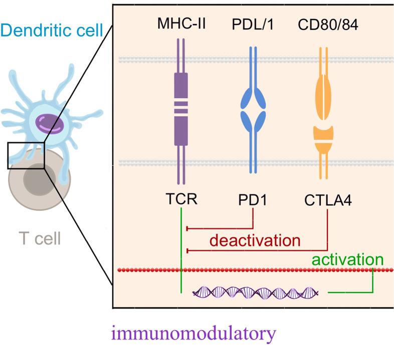 https://cdn.ncbi.nlm.nih.gov/pmc/blobs/2f67/8894518/8f82593512b0/43556_2022_71_Fig4_HTML.jpg