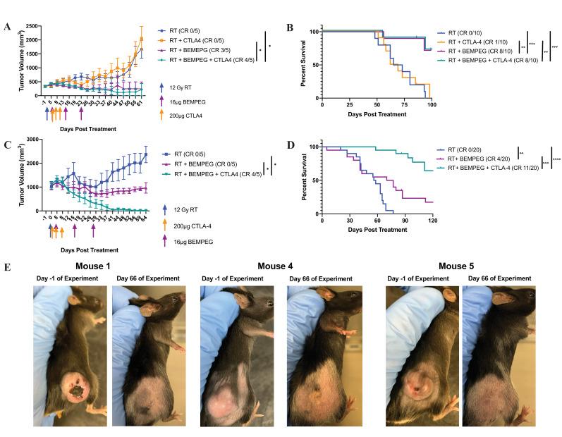 https://cdn.ncbi.nlm.nih.gov/pmc/blobs/2f68/8237721/f9b34c82e931/jitc-2021-002715f05.jpg