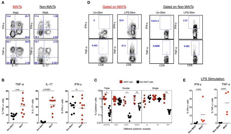 https://cdn.ncbi.nlm.nih.gov/pmc/blobs/2f69/6978843/cc942a9bbef6/fimmu-10-03053-g0002.jpg