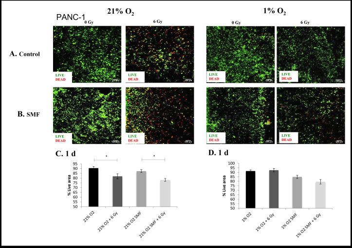 https://cdn.ncbi.nlm.nih.gov/pmc/blobs/2f69/9975369/1249d9c2ce87/bjr.20220832.g001.jpg