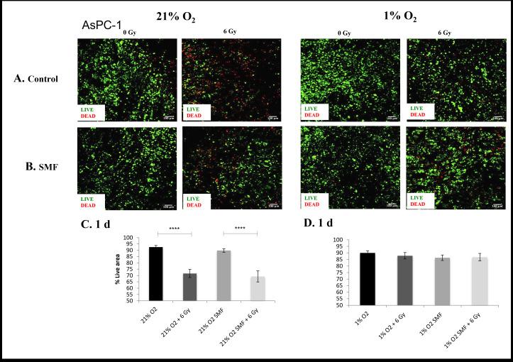 https://cdn.ncbi.nlm.nih.gov/pmc/blobs/2f69/9975369/78886ee71f85/bjr.20220832.g005.jpg