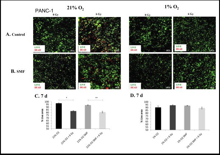 https://cdn.ncbi.nlm.nih.gov/pmc/blobs/2f69/9975369/b63c506d62cf/bjr.20220832.g002.jpg