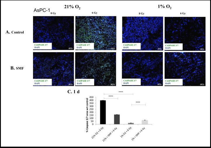 https://cdn.ncbi.nlm.nih.gov/pmc/blobs/2f69/9975369/bbec11b18ab5/bjr.20220832.g007.jpg