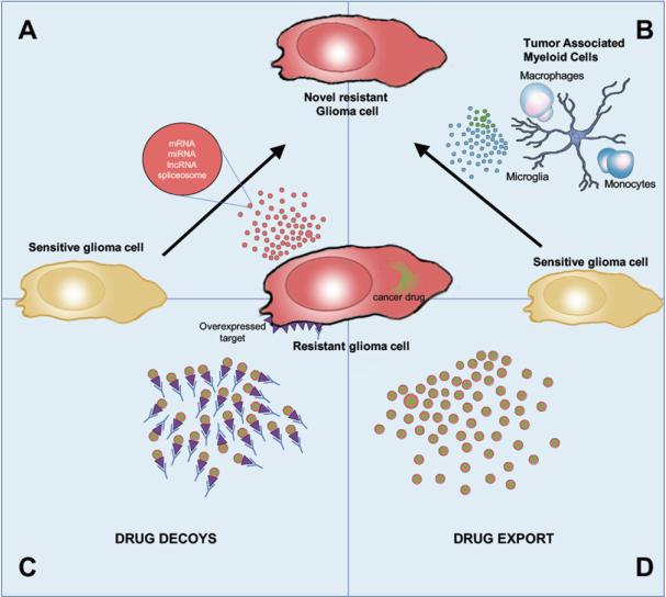 https://cdn.ncbi.nlm.nih.gov/pmc/blobs/2f6a/9019190/d97f2dac8d8c/cdr-4-1.fig.1.jpg